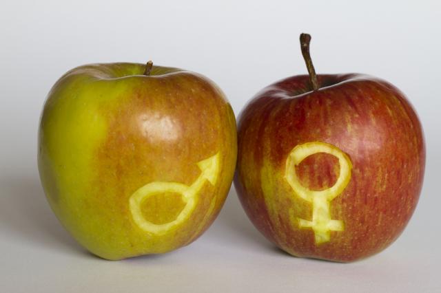 Grupe namirnica koje čine čuda za seksualni život